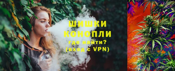 гидропоника Бородино
