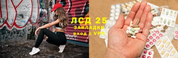 гидропоника Бородино