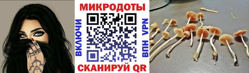 сайты даркнета телеграм  Пятигорск  Галлюциногенные грибы Psilocybe  где купить наркоту  мега tor 